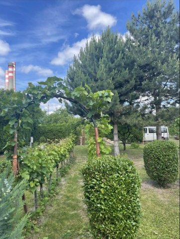 Eladó mezogazdasagi ingatlan, Győrött 10 M Ft