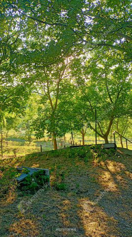 Eladó családi ház, Somlószőlősön 149.9 M Ft, 6 szobás