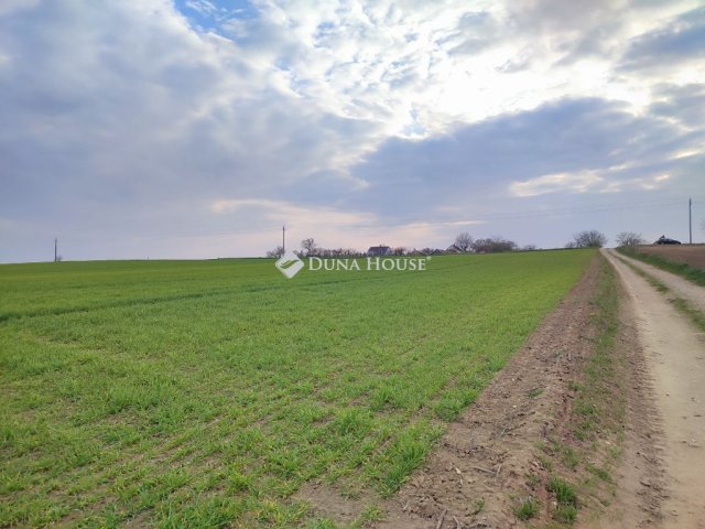 Eladó telek, Tápszentmiklóson 4.9 M Ft / költözzbe.hu