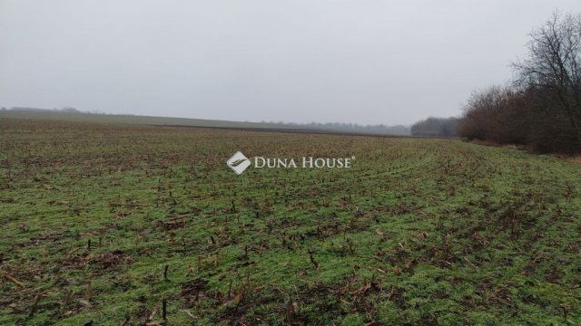 Eladó telek, Siófokon 2.5 M Ft / költözzbe.hu