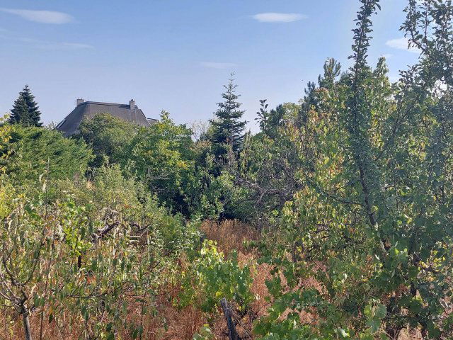 Eladó telek, Budaörsön 99 M Ft / költözzbe.hu