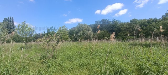 Eladó telek, Badacsonytördemicen 17.5 M Ft / költözzbe.hu