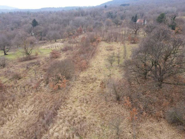 Eladó mezogazdasagi ingatlan, Bazsiban 39.9 M Ft