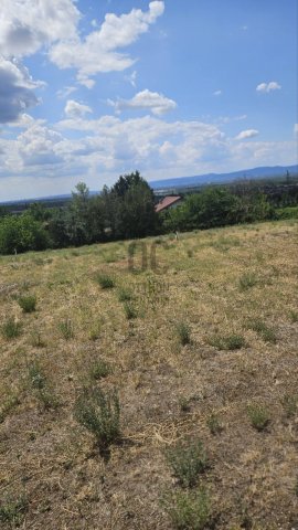 Eladó telek, Fóton 100 M Ft / költözzbe.hu