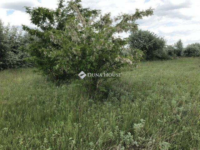 Eladó telek, Székesfehérvárott 14.9 M Ft / költözzbe.hu