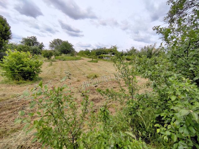 Eladó telek, Mohácson 3.9 M Ft / költözzbe.hu