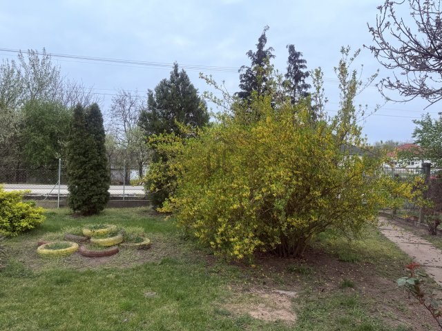 Eladó családi ház, Mórichidán 29.99 M Ft, 3 szobás