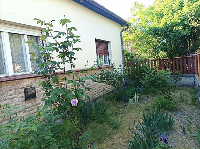 Eladó családi ház, Törökszentmiklóson 27.89 M Ft, 3 szobás