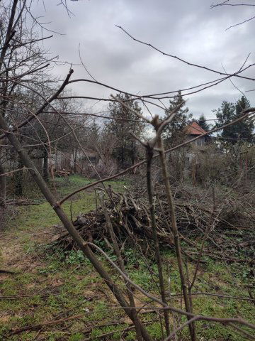 Eladó családi ház, Budapesten, XVII. kerületben 76.9 M Ft