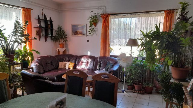 Eladó családi ház, Gödöllőn 120 M Ft, 5+1 szobás