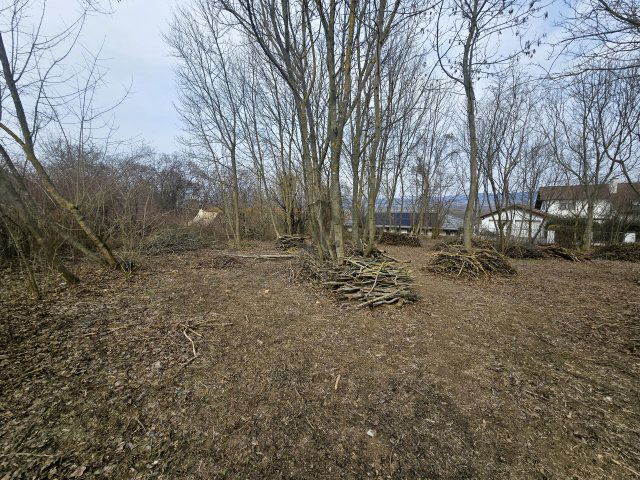 Eladó telek, Dunabogdányban 24.9 M Ft / költözzbe.hu