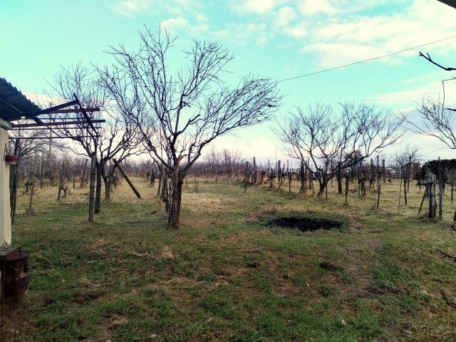 Eladó mezogazdasagi ingatlan, Marcaliban 5 M Ft, 1 szobás