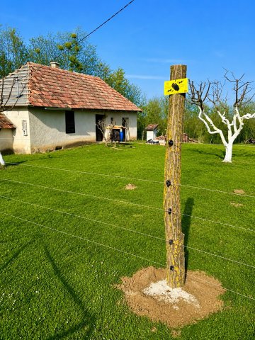 Eladó mezogazdasagi ingatlan, Kehidakustányban 9 M Ft