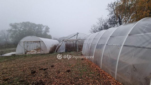 Eladó családi ház, Albertirsán 54.9 M Ft, 4+1 szobás