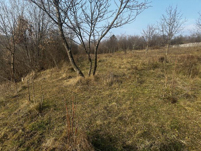 Eladó telek, Cserszegtomajon 404 M Ft / költözzbe.hu