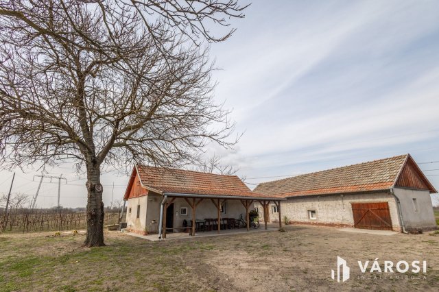 Eladó mezogazdasagi ingatlan, Röszkén 25 M Ft, 2 szobás