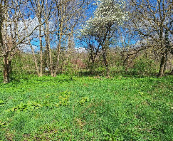 Eladó telek, Zalaszántón 4.9 M Ft / költözzbe.hu