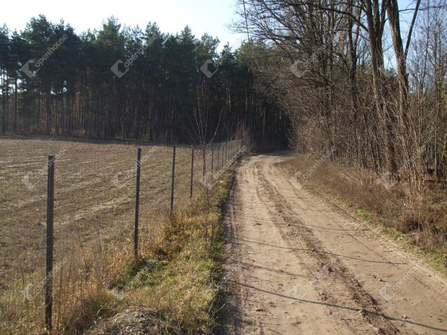 Eladó mezogazdasagi ingatlan, Vasadon 31.9 M Ft, 1 szobás