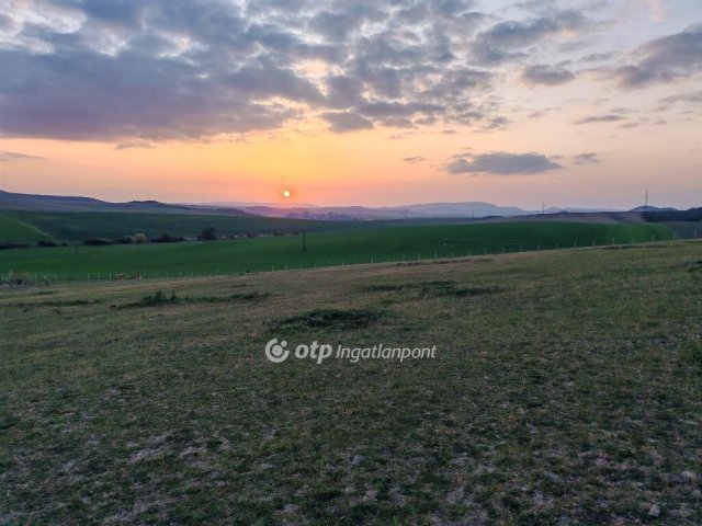 Eladó mezogazdasagi ingatlan, Szomoron 35 M Ft