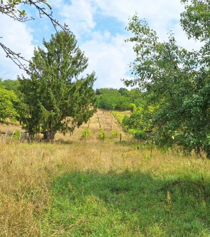 Eladó telek, Sümegen 9.5 M Ft / költözzbe.hu