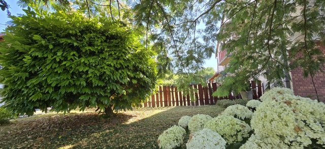 Eladó családi ház, Gyönkön 49.9 M Ft, 4 szobás