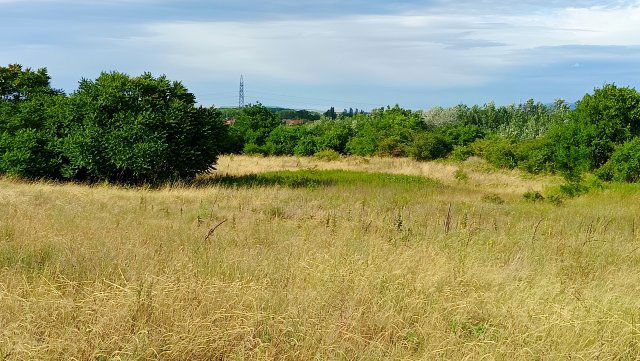 Eladó mezogazdasagi ingatlan, Tokodon, Bajnai úton 7.5 M Ft