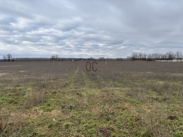 Eladó telek, Hajdúhadházon 1942.78 M Ft / költözzbe.hu