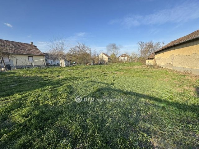 Eladó telek, Tiszaszőlősön 5.5 M Ft / költözzbe.hu