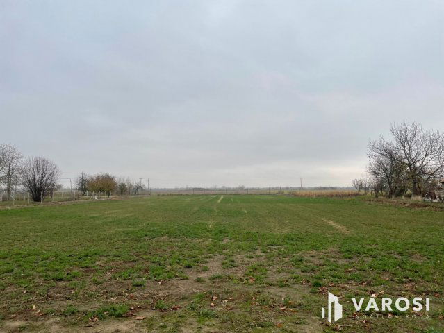 Eladó telek, Mátyásdombon 5.5 M Ft / költözzbe.hu