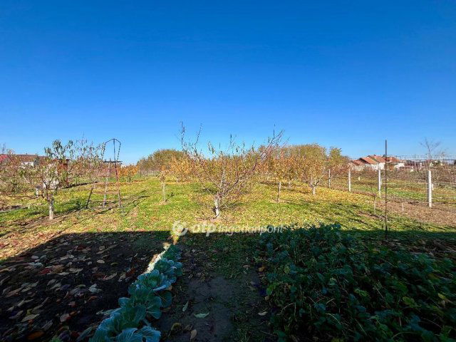 Eladó családi ház, Kállósemjénen 58 M Ft, 3 szobás