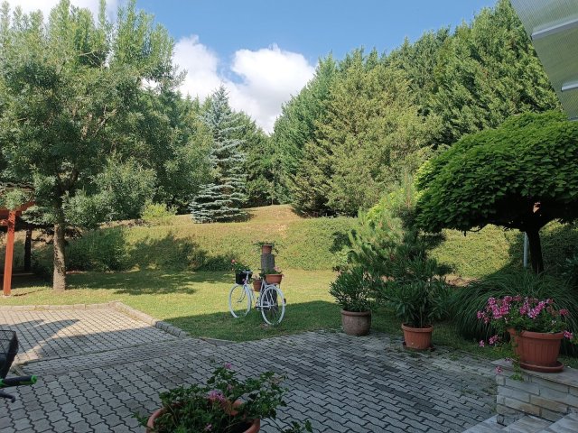 Kiadó téglalakás, albérlet, Ajkán, Tölgyfa utcában