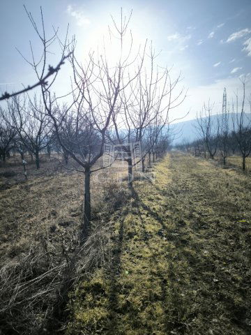 Eladó mezogazdasagi ingatlan, Pomázon 8.8 M Ft
