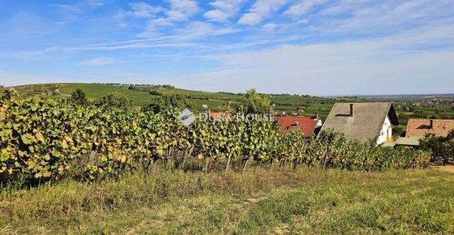 Eladó családi ház, Nagyharsányon 115 M Ft, 5 szobás