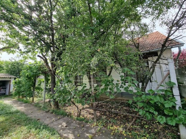 Eladó családi ház, Békéscsabán 20.99 M Ft, 2 szobás