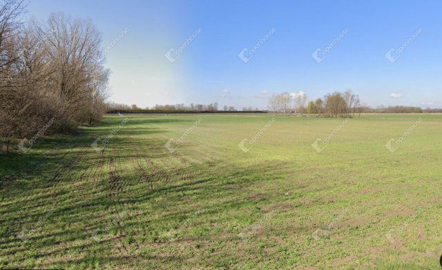 Eladó telek, Péterin 65 M Ft / költözzbe.hu