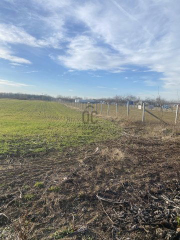 Eladó telek, Tégláson 37.5 M Ft / költözzbe.hu