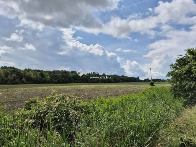 Eladó telek, Ászáron 51.1 M Ft / költözzbe.hu