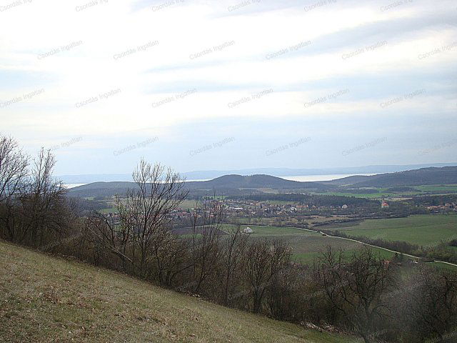 Eladó mezogazdasagi ingatlan, Pécselyen 55 M Ft, 2 szobás