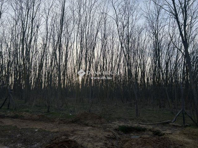 Eladó mezogazdasagi ingatlan, Gödöllőn 18 M Ft