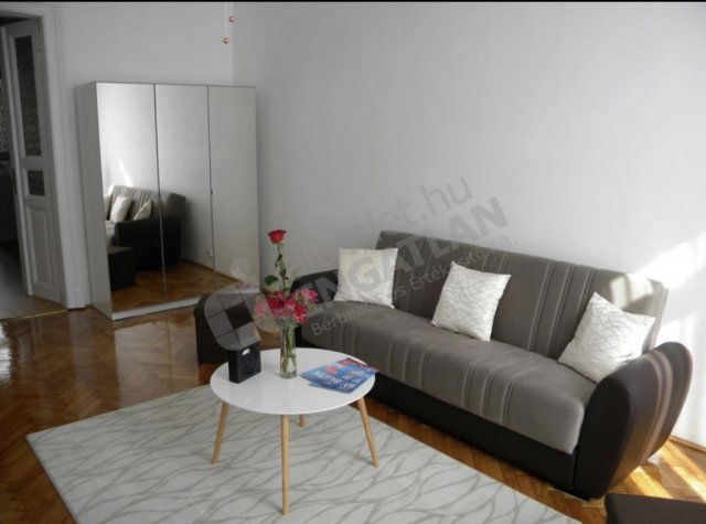 Kiadó téglalakás, albérlet, VII. kerületben, Erzsébet körúton