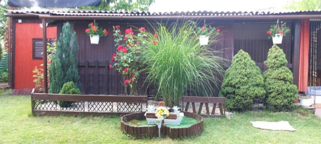 Eladó családi ház, Tóalmáson, Patak utcában 16 M Ft, 2 szobás