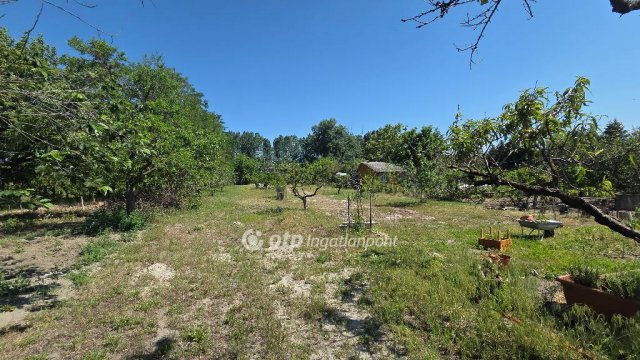 Eladó telek, Dunapatajon 10.5 M Ft / költözzbe.hu