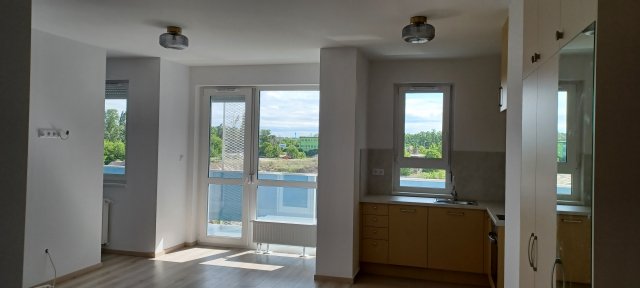Kiadó téglalakás, albérlet, Budapesten, XI. kerületben