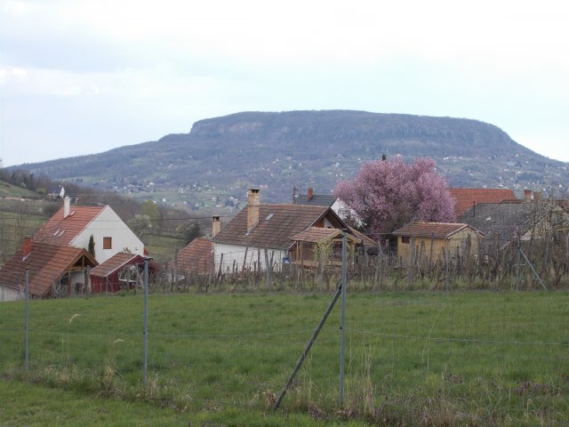 Eladó telek, Szigligeten 60 M Ft / költözzbe.hu