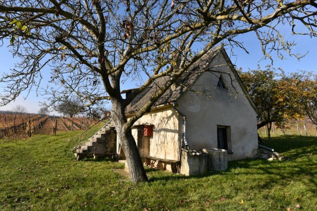 Eladó telek, Pécselyen 39.9 M Ft / költözzbe.hu