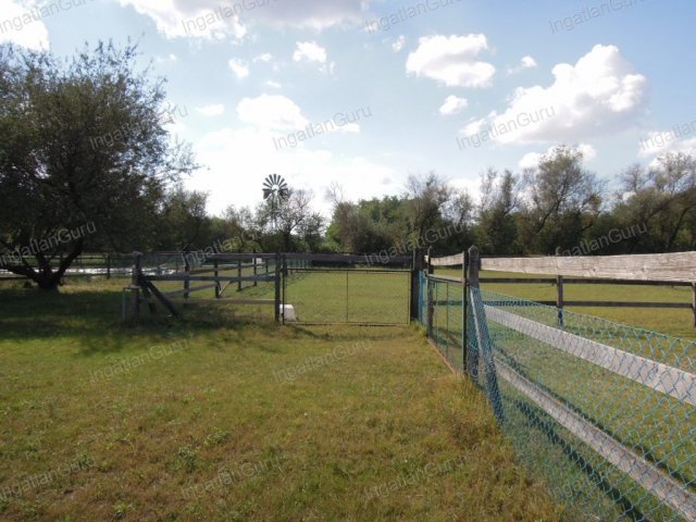 Eladó mezogazdasagi ingatlan, Lajosmizsén 307.5 M Ft