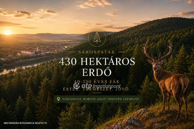 Eladó mezogazdasagi ingatlan, Sárospatakon 3520 M Ft