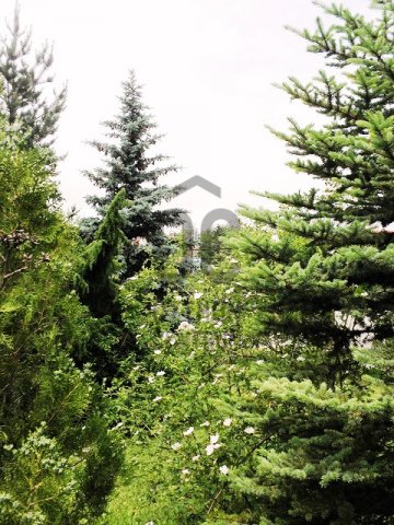 Eladó telek, Pátyon 20 M Ft / költözzbe.hu