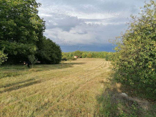 Eladó mezogazdasagi ingatlan, Kaposváron 16 M Ft