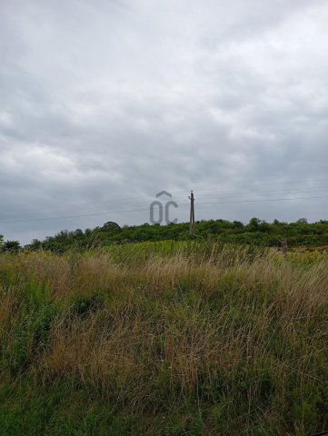 Eladó mezogazdasagi ingatlan, Alsónánán 4 M Ft